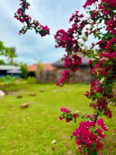 Morada das Dunas - 8