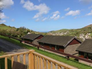 Chalet Log Cabin L10 - Ilfracombe - 9