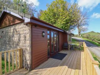 Chalet Log Cabin L10 - Ilfracombe - 8