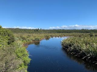 The Black Bach on Bealey - 4