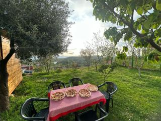 Meti guest house - Krujë - 4