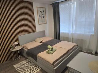 CENTRAL Apartman 2 - Komárno - 3