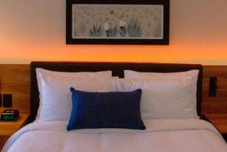 TRYP By Wyndham Ciudad Guzmán UTTSA - Ciudad Guzmán - 7