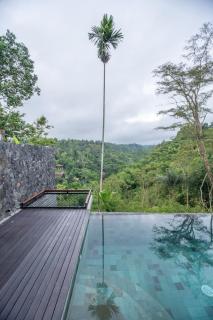 Micaela Bali Ubud Villas - 1