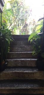 Jungle Hideaway Villas - Newly Renovated Formerly Griya Bunga 2 - Unit 2 - Ubud - 9