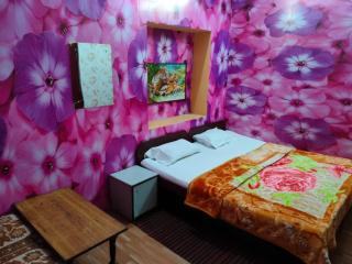 Hotel Raj Near Taj Mahal South Gate Taj Ganj - Agra - 2