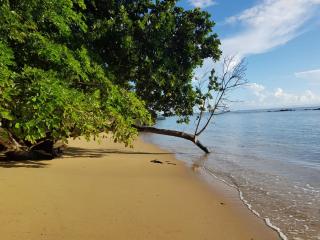 Masoala bungalows - Maroantsetra - 6