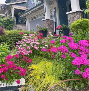 Quiet and spacious private suite & separate bathroom - Coquitlam - 7