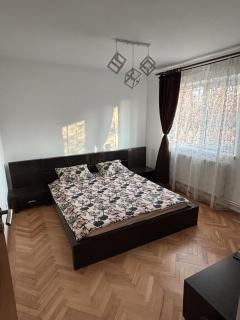 Wine Road Apartment - Gura Vadului - 7