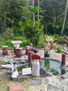 Blueway hotel munnar - Anachal - 6