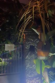 Jungle Hideaway Villas - Newly Renovated Formerly Griya Bunga 2 - Unit 4 - Ubud - 8