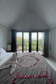 The Iris Kintamani - 6