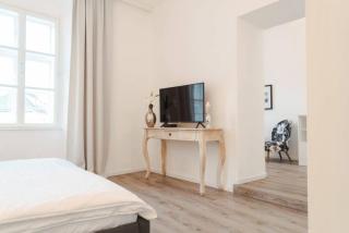 Smile Apartments zum Goldenen Hirschen - Krems an der Donau - 8