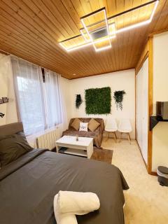Magnifique Studio de 20m2 pour 1 à 4 personnes - Les Rousses - 9