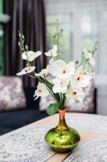 Comfy Bright Apt in OLD TOWN Your Perfect Location - Vilnius - 1