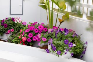 Nắng House Mộc Châu - 3