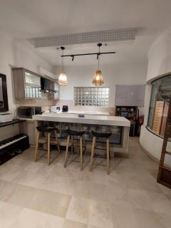 Boutique luxury house - Lahore - 1