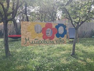 Mitrovića kuća - Arandjelovac - 3