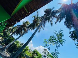 Chinna cottage - Nikawatawana - 3