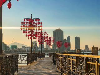 Seavitel Danang Beach Hotel - Danang - 4