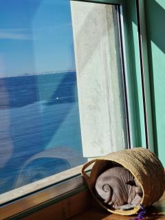 Mar habitación - Benidorm - 5