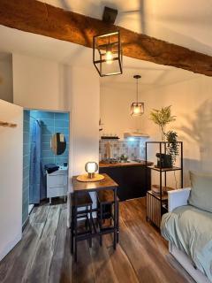 La Petite Escale Studio de 16m2 - Montauban - 9