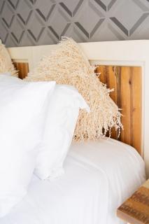 The African Penguin Guesthouse - Pretoria - 4