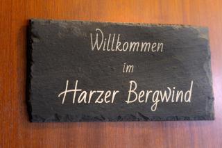 FeWo Harzer Bergwind Sankt Andreasberg, Hunde willkommen, große eingezäunte Terrasse mit Gasgrill - Sankt Andreasberg - 8