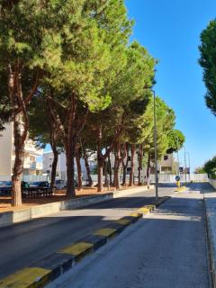 Design a PSG con aria condizionata - Porto San Giorgio - 5