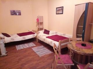 Guesthouse Zeko - Aljmaš - 5