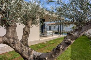 Villa Gigi - Happy Rentals - Višnjan - 7