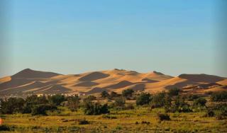 Camp Standard Ayour - Merzouga - 3