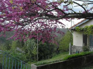 Maison accueillante à Saint-Martin-de-Boubaux, jardin agréable - Saint-Martin-de-Boubaux - 9