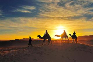Africa Desert Camp - Merzouga - 1