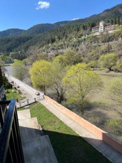 New Borjomis house - Borjomi - 6
