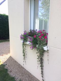 Rez de jardin - 5