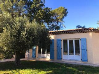 Villa "belles feuilles" avec piscine et tennis - Trans-en-Provence - 0