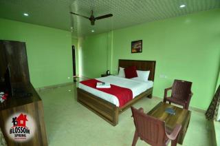Blossom Spring Villa - Udagamandalam - 1