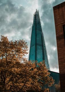 Central 2BD Apt in Whitechapel, London - London - 4