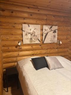 Latvahonka Cottage - Jämsä - 1