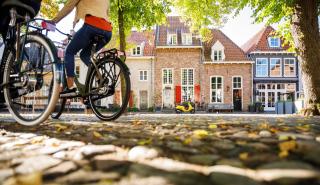 Tiny Lodge Basic - Harderwijk - 9