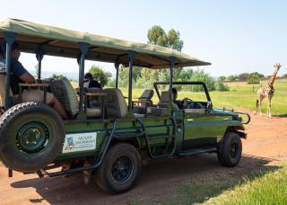 Mount Savannah Lodge by Dream Resorts - 8