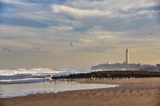 Four Seasons Hotel Casablanca - 1