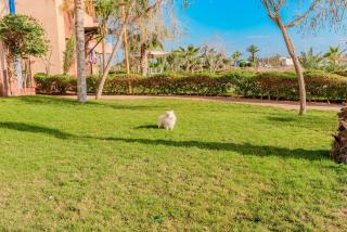 Dar Dmana Luxury Apt Pools, Tennis & Private Garden - Dar Caïd Layadi - 2