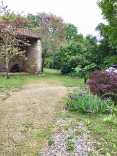 Beautiful Cottage - 9