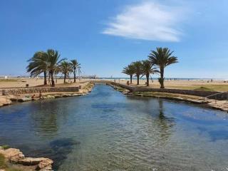 Apartamento Amparo - Sant Vicenç de Calders - 1