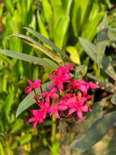 Elements Of Nature, Karjat - Karjat - 2