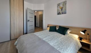 City Break Room - Rzeszów - 7