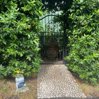 La Casetta in Montagna - 7