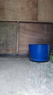 Angganeti Homestay - 6